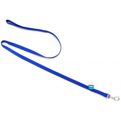 Coastal Pet Nylon Lead - Blue