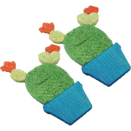 AE Cage Company Nibbles Potted Cactus Loofah Chew Toys