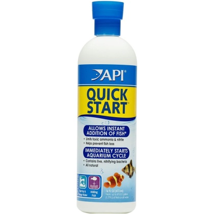 API Quick Start