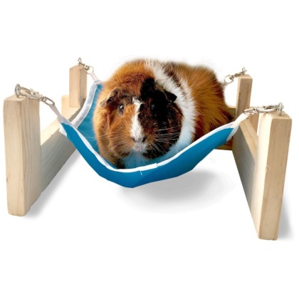 Kaytee Hammock with Stand