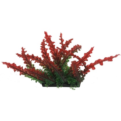 Penn Plax Red Bunch Plant Large