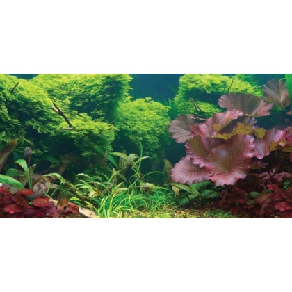 Aquatic Creations Tropical Cling Aquarium Background